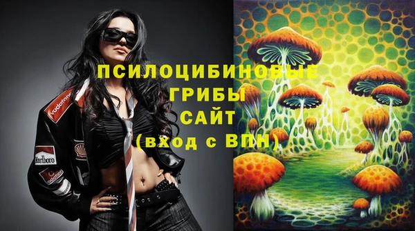 ECSTASY Пролетарск
